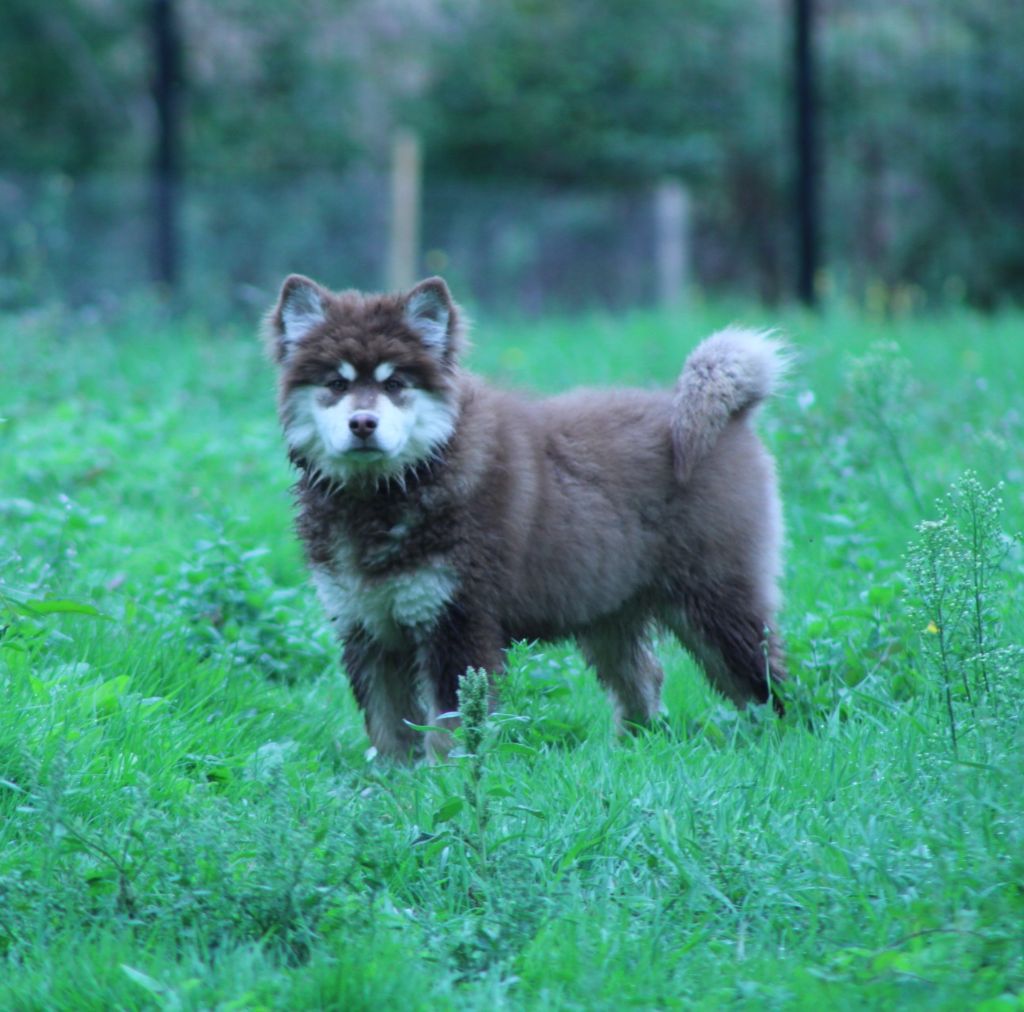Aliika Tolosa Maakunta